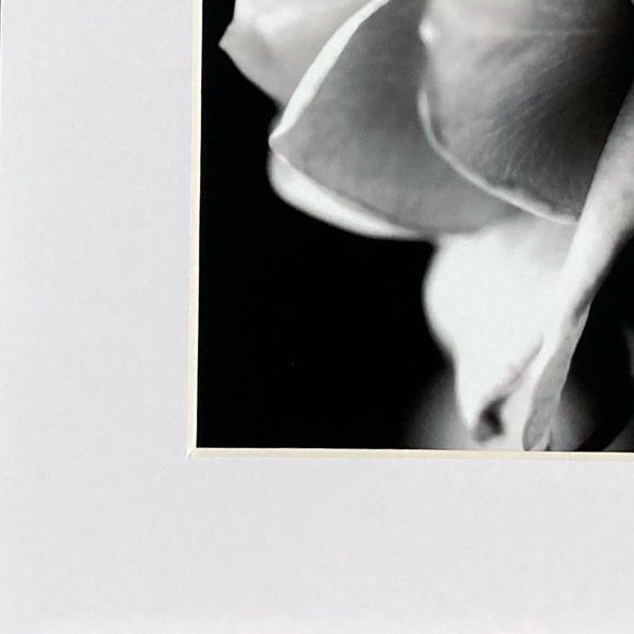 “WITHOUT YOU” ~ ORIGINAL ART by ~ @lisamichellebeckerphotography - Picture 5 of 14